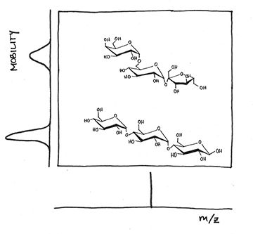 High resolution ion mobility separation of isomeric compounds